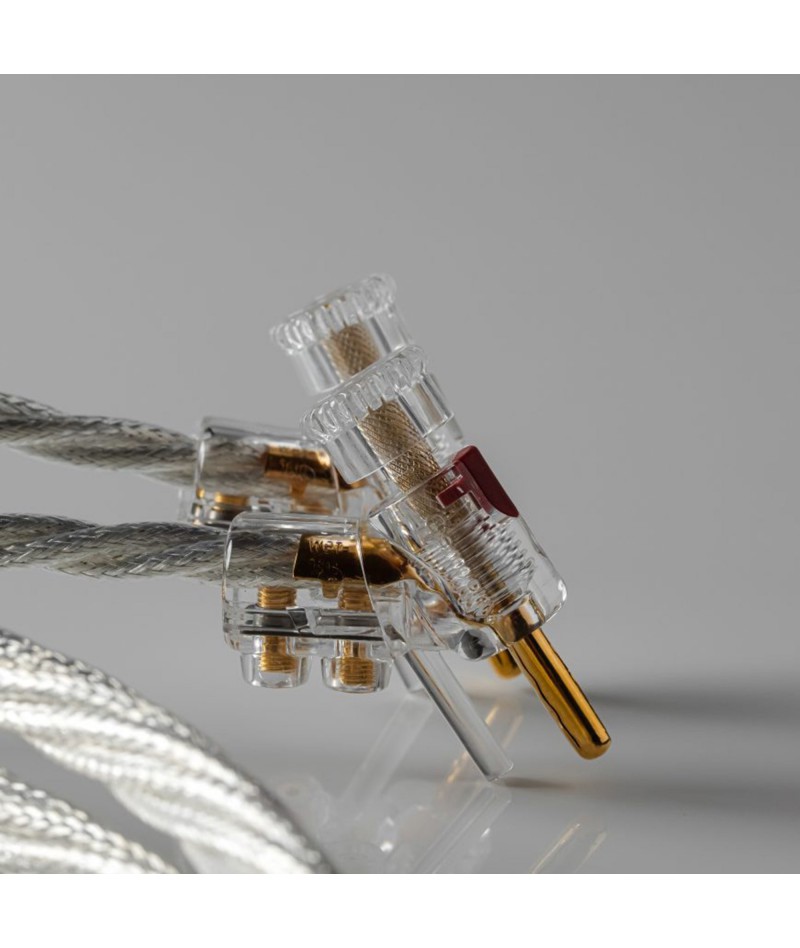 Crystal Cable Art Series...